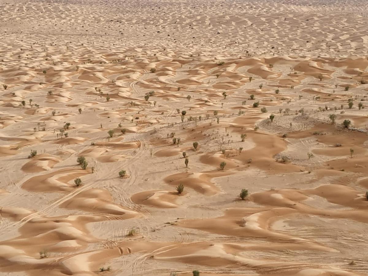 Grand Sud, La Maison De Sable Douz Exterior foto